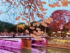 -红星桥(地铁站)