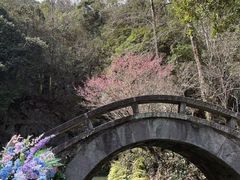 -灵栖洞天