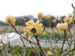 -苏州太湖国家湿地公园