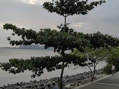 -深圳湾公园(南山区)
