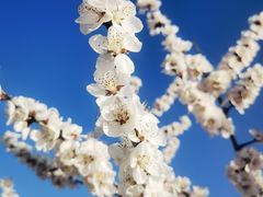 -白水寺森林公园