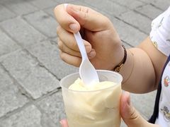 -洪馨椰子
