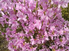 -南通洲际绿博园