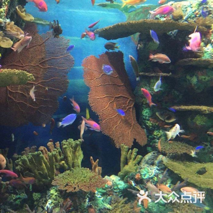 上海海洋水族館