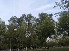 -汉江湾体育公园