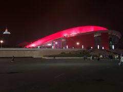 -南京奥林匹克体育中心-体育馆