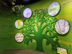 -石家庄市植物园