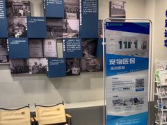 -伟伟宠物医院·CT影像中心·瑞派犬猫综合性门诊(汉口总院)