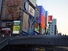 -道顿堀水上观光船(太左衛門橋船着場)