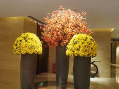 -长沙芙蓉国温德姆至尊豪廷大酒店 - 自助餐厅