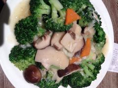 茉莉餐饮(包河万达店)-茉莉餐厅(包河万达店)