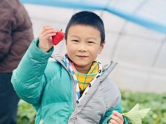 -蕃茄田艺术•美术绘画 •硬笔书法(滨江海威领界店)