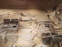 -洛阳周王城天子驾六博物馆