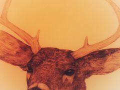 -虾弄弄海派小龙虾·牛羊蝎子火锅