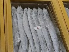 -沈阳水产批发市场