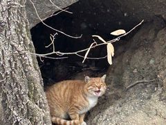 -天津盘山风景名胜区