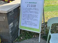 -中国扬子鳄村