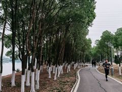 -金银湖国家城市湿地公园