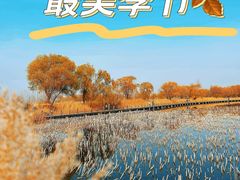 -野鸭湖国家湿地公园