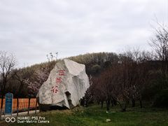 -金石滩蓝莓谷庄园