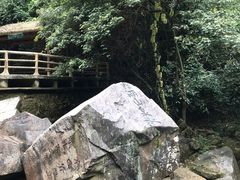 -鼎湖山风景区