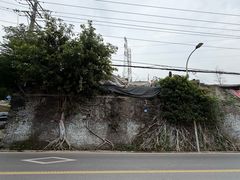 -黄桷坪涂鸦艺术街