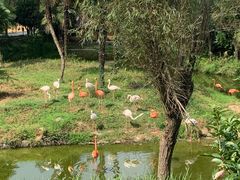 -杭州野生动物世界