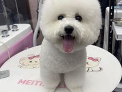 -FAELING PETS美天灵宠物(富力广场店)