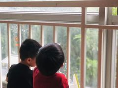 -自然树儿童之家(海珠翠城花园托育.早教校区)