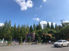 -东平国家森林公园