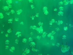 -福州罗源湾海洋世界旅游区