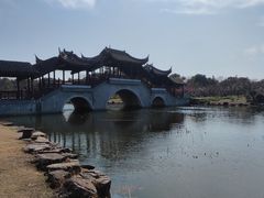 -上海海湾国家森林公园