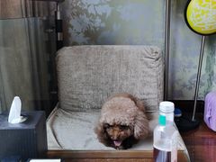 -中铁花水湾温泉酒店(大邑店)
