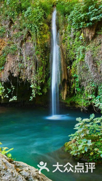 集杰尚品自助炭火烤肉餐厅(cbd万达店)的点评