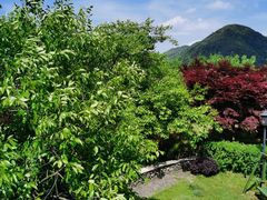-宁波余姚老柿林山居度假村
