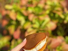 -泽田本家·铜锣烧(环贸店)