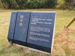 -盘龙城国家考古遗址公园