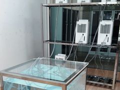 -金泽21世纪美术馆