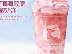 樱花莓莓胶原酸奶冻-瑞幸咖啡(怡富广场店)