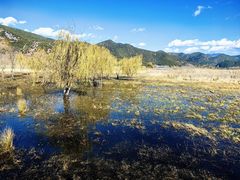 -泸沽湖国家级风景名胜区走婚桥