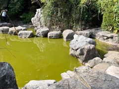 -上海吴淞炮台湾国家湿地公园