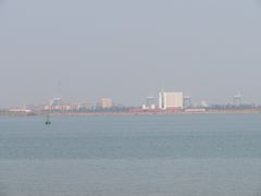 -大湾区中央湿地公园