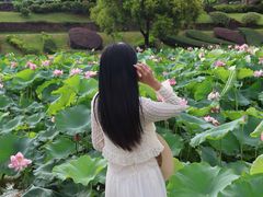 -广州莲花山旅游区