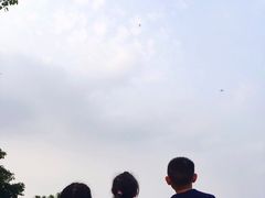 -东莞植物园