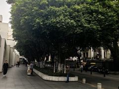 -广州白天鹅宾馆