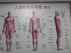 -龙脊堂龙氏推拿 整脊(陆家浜店)