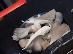-渝宗老灶火锅(巴国城店)