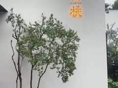 -青桃餐厅