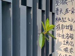 -MUJI无印良品(杭州万象城店)