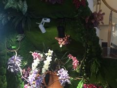 -花漫里·日式の创意餐厅(刺桐店)